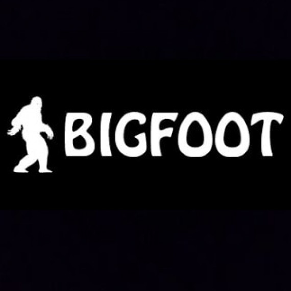 https://gamesloft.club/products/bigfoot-steam-key-global